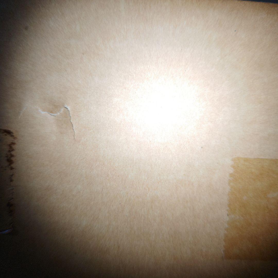 ゴジラ　酒井ゆうじ造型工房　南海ゴジラ出現　ガレージキット　未組立