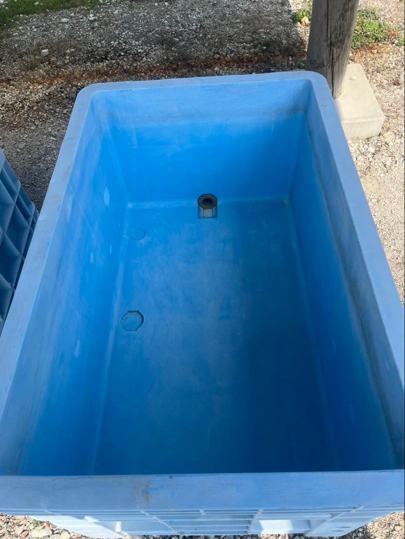 大型プラスチック水槽 青