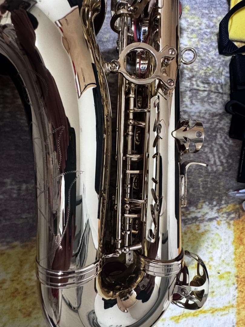 や*す様 Kaerntner アルトサクソフォンセット