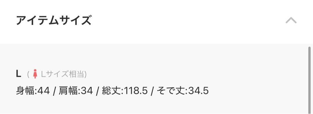 kana カナ シアー素材 ボリューム袖 レース オケージョン ドレス L
