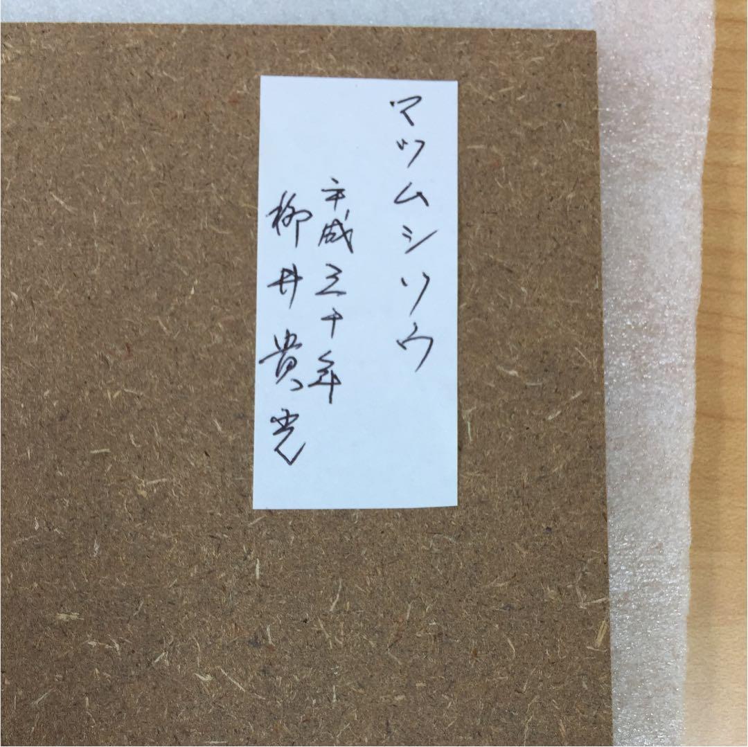 ☆柳井 貴光 takamitu yanai 水彩画 「マツムシソウ」