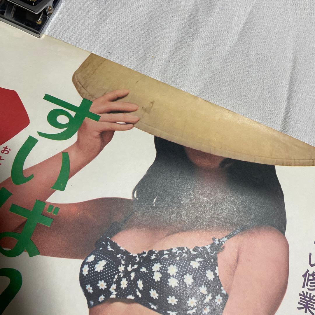 映画ポスター すいばれ一家 男になりたい 菅原文太 山城新伍 東映