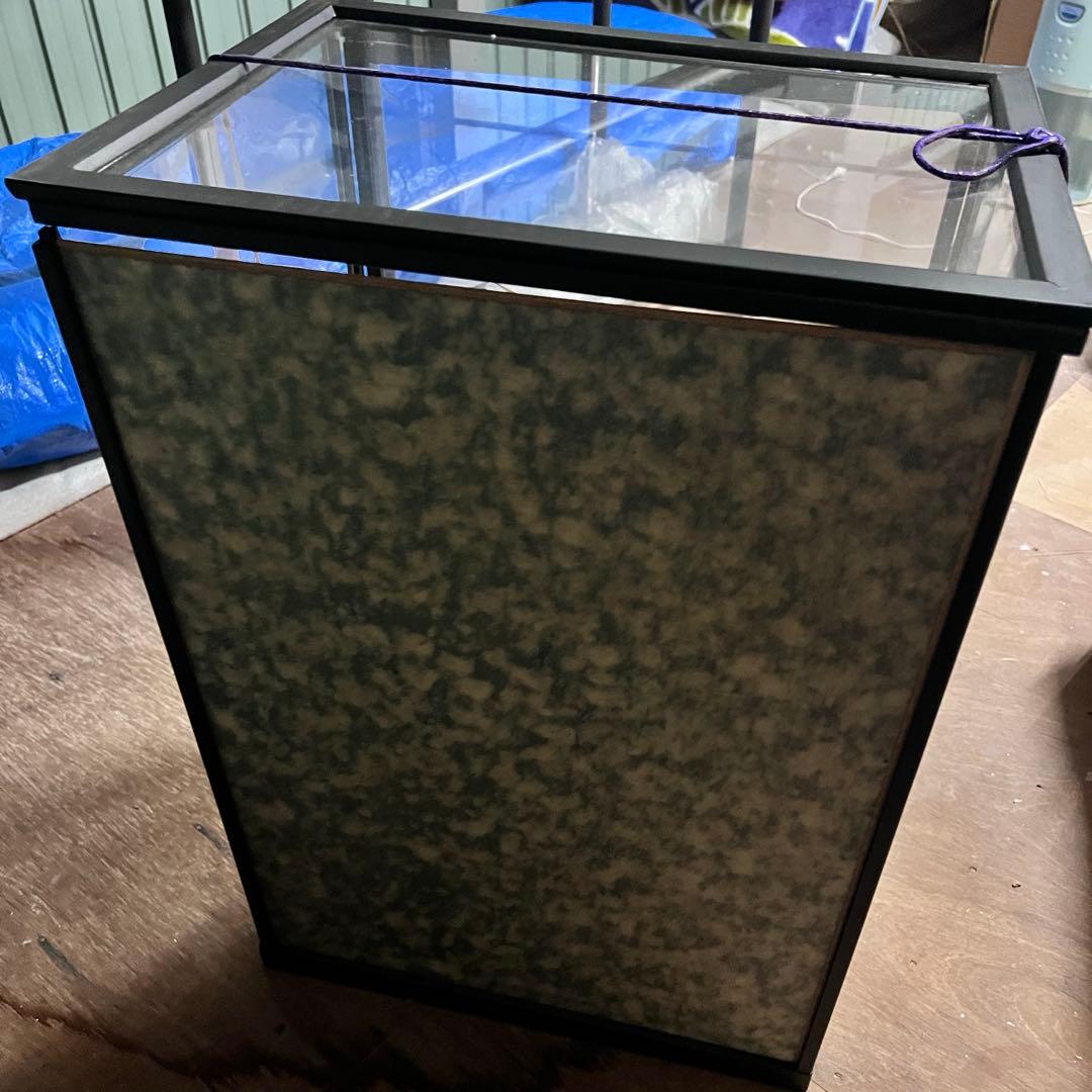 日本人形 ひな飾り 藤娘☆12/29までの価格 【お宝】美術 武者人形 紫峰