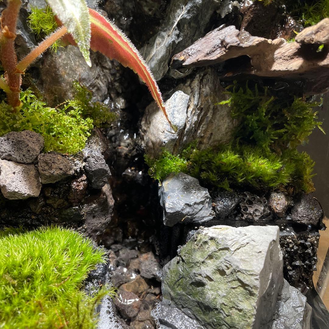 受注生産】大きな滝のあるアクアテラリウム