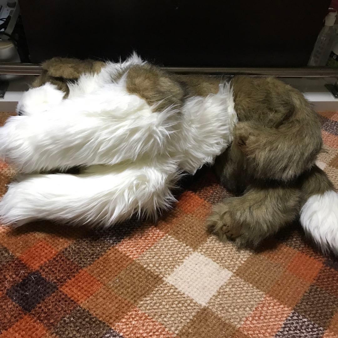 ぬいぐるみ 犬 いぬ セリーヌ ファースト社 レア❣️ - メルカリ