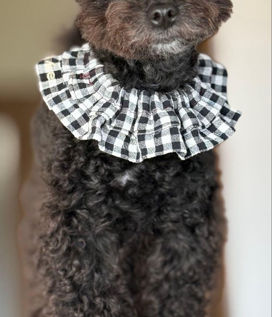 761.わんこビブスタイつけ襟ハンドメイド犬服 761.わんこビブ スタイ