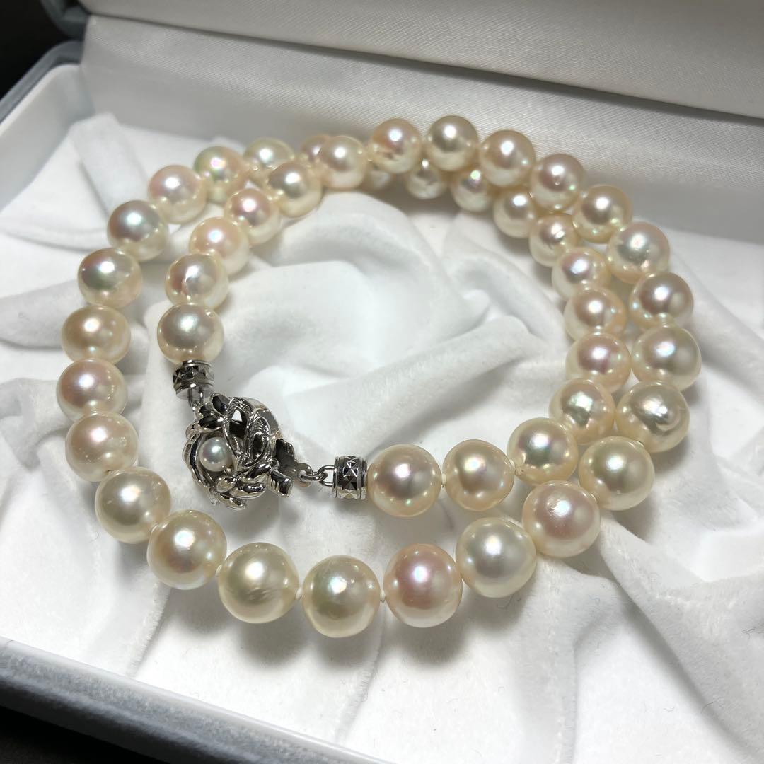 唾奇 日本武道館限定CamelliaHito メタルキーホルダー