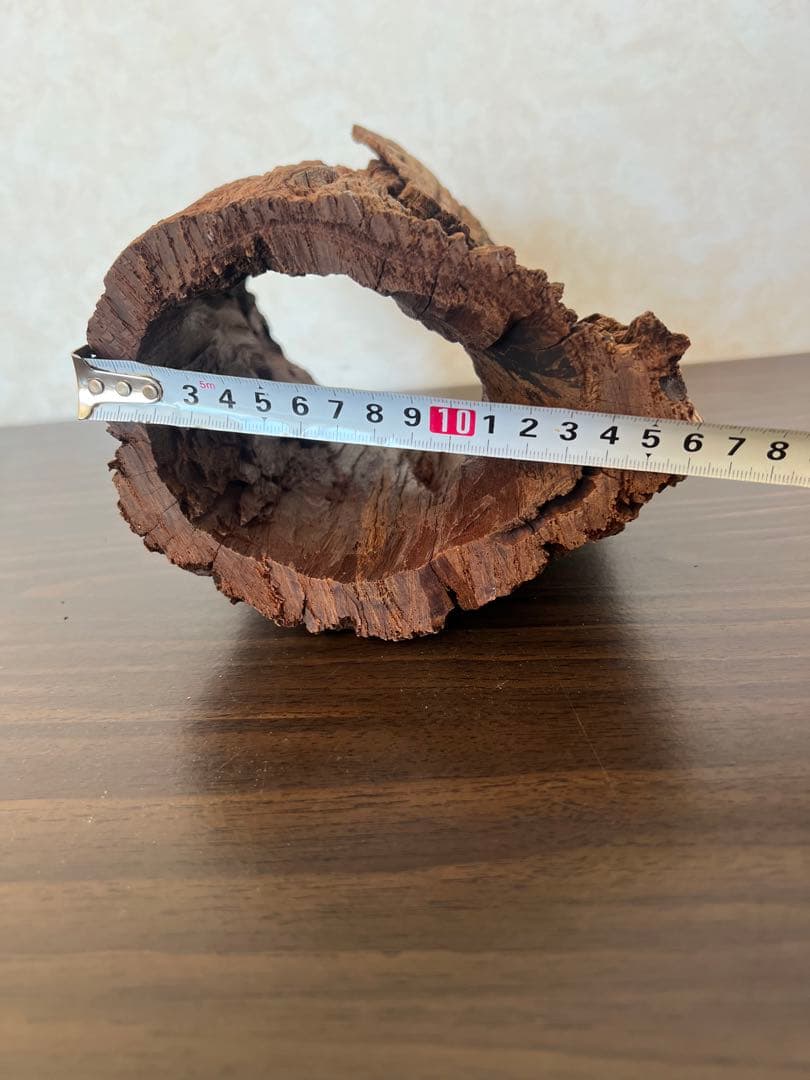 HX-008 流木 空洞 爬虫類 アクアリウム アクアテラリウム 即沈水