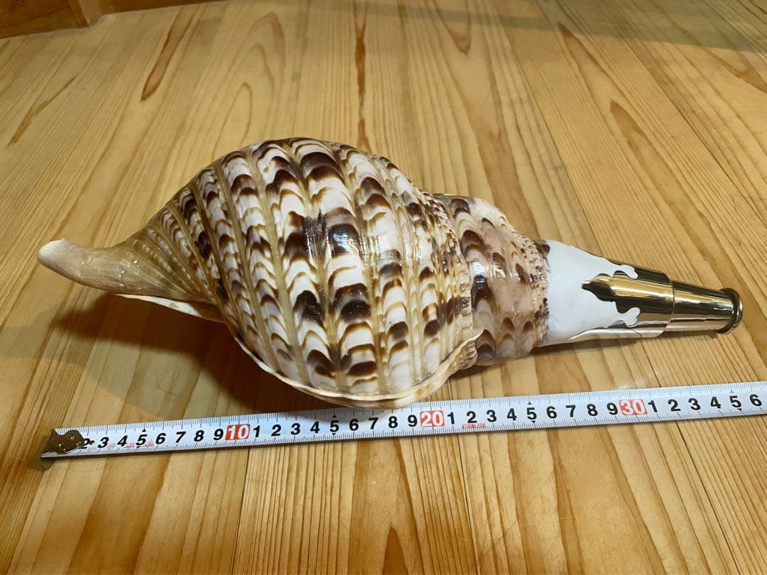 修験道法螺貝 山伏 密教 魔除け 熊よけ❣️ほら貝 ホラガイ