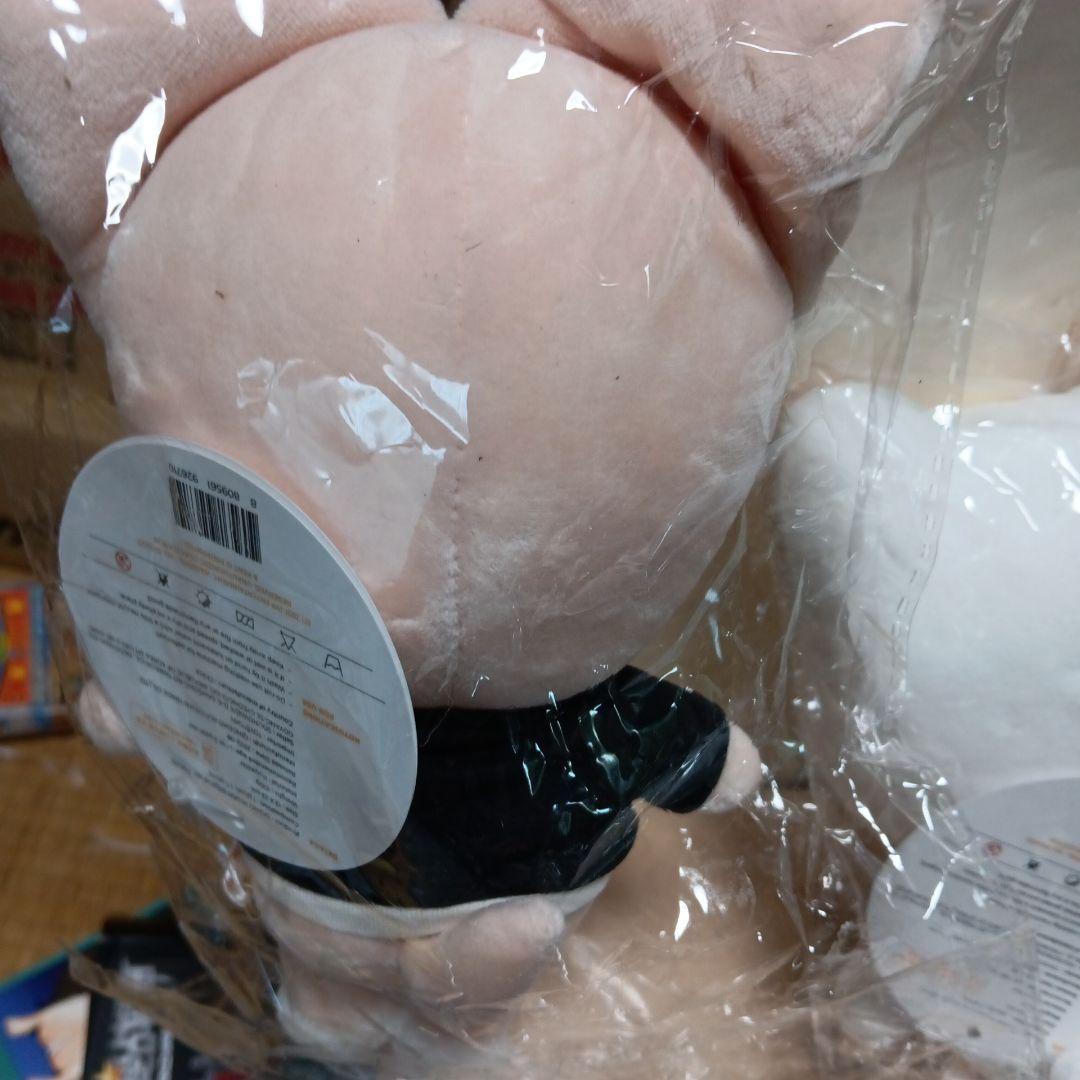 Stray Kids SKZOO FoxI.Ny アイエンぬいぐるみマスコット