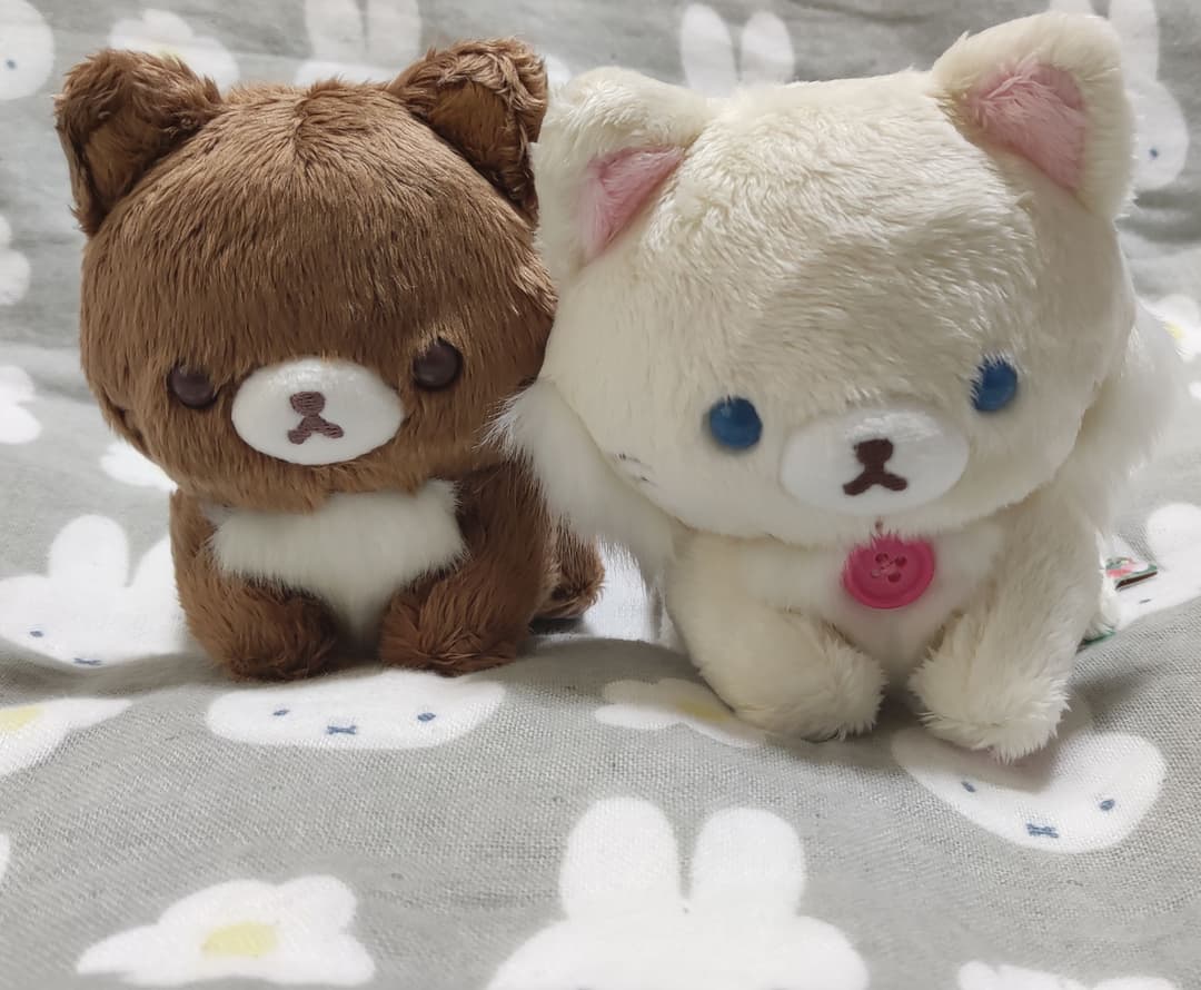 ぬいぐるみ ココアキャット バニラキャット コリラックマストア