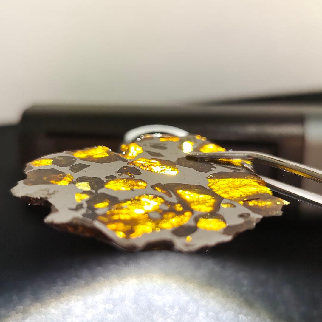 パラサイト隕石】イミラック隕石20g ケース&ネームカード付き NO.409