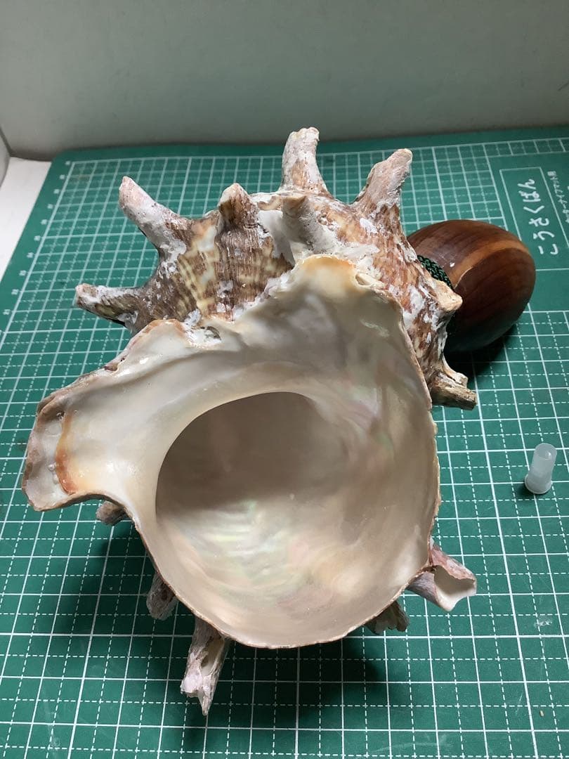 ヤフメリ29・法螺貝・山伏・修験者・戦国武将・金峯山・羽黒山・縁起物