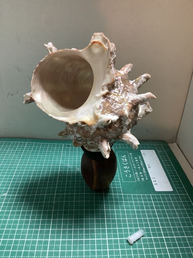 ヤフメリ29・法螺貝・山伏・修験者・戦国武将・金峯山・羽黒山・縁起物