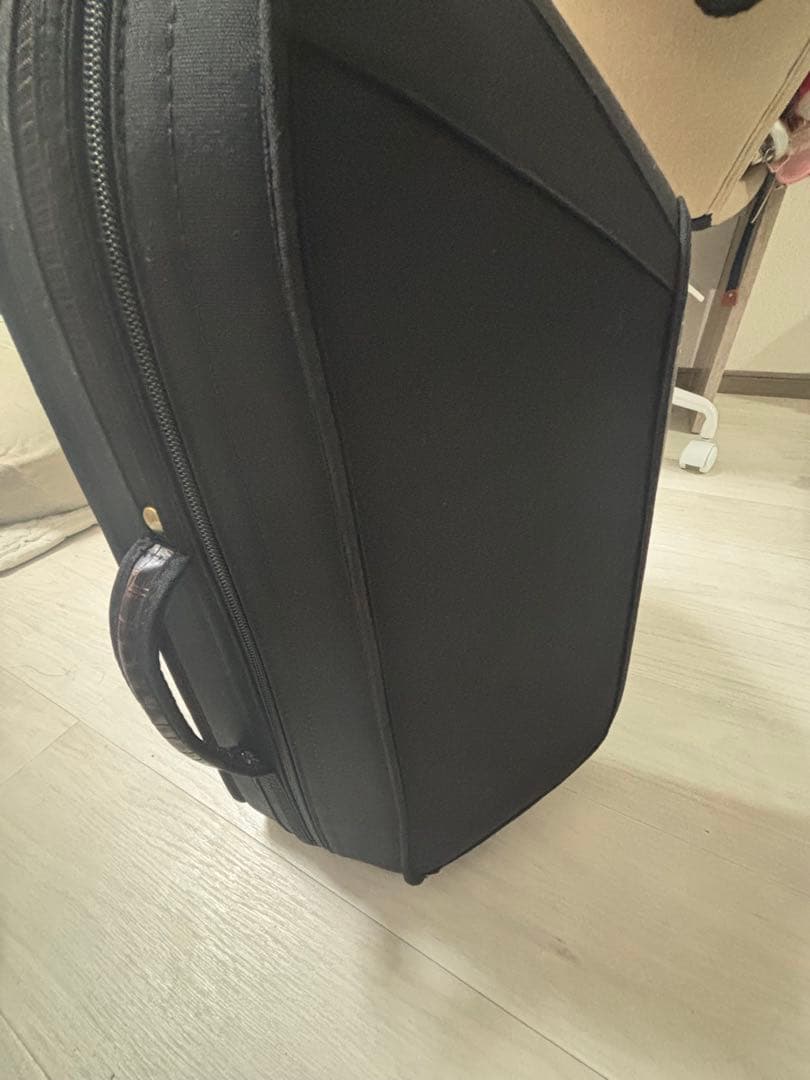 Alexander ホルンケース（付属ミュートケース付き）