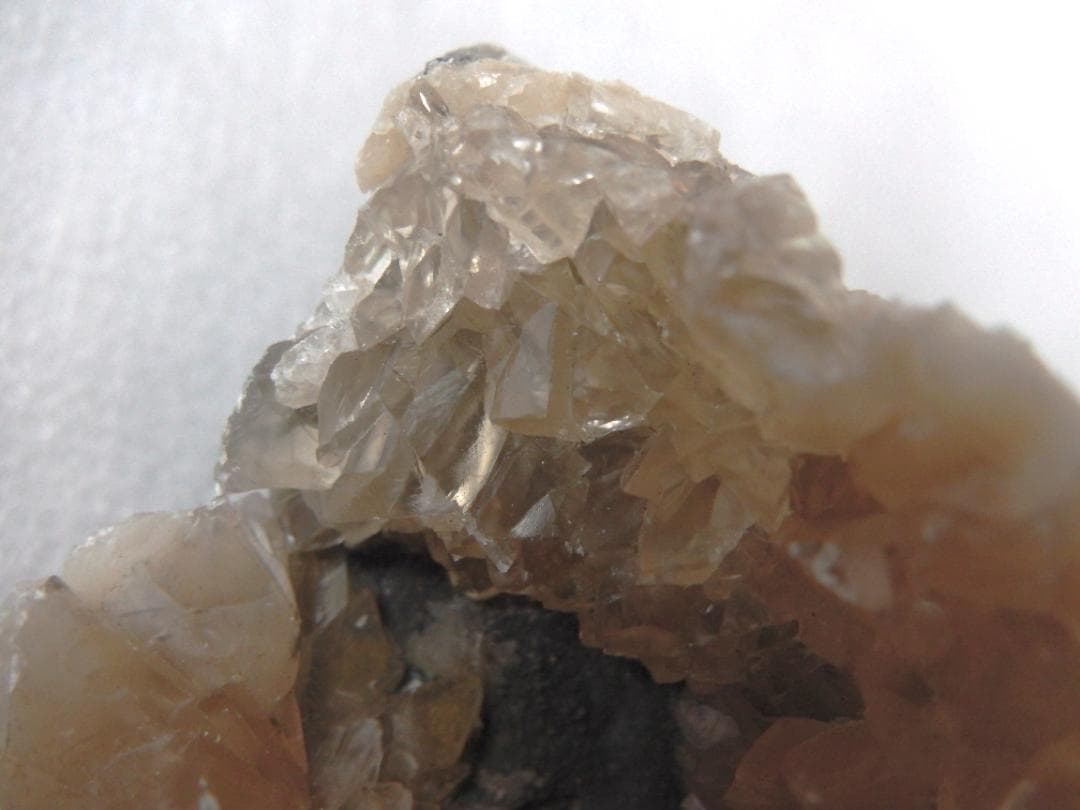 m盆・・・さま専用：方解石化した二枚貝の化石 カルサイト 鉱物標本