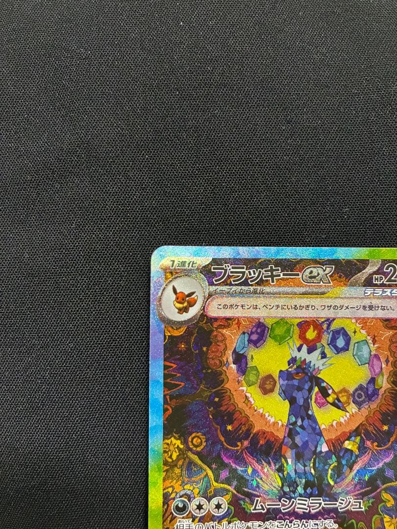 テラスタルフェス　ブラッキーex SAR