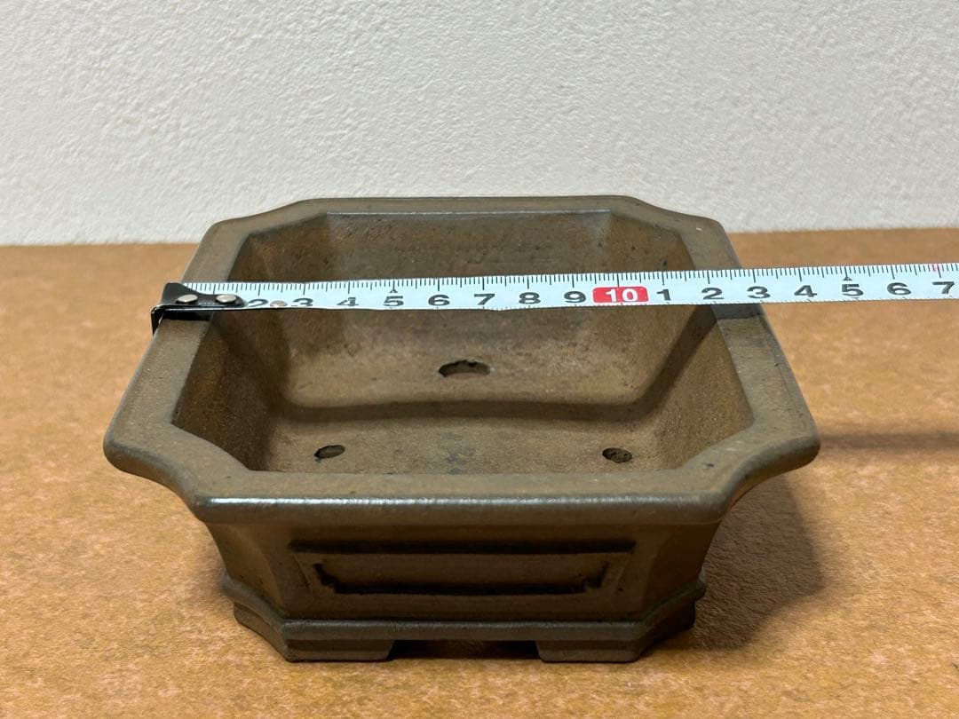 小松泉　秋静庵　小品盆栽　山野草