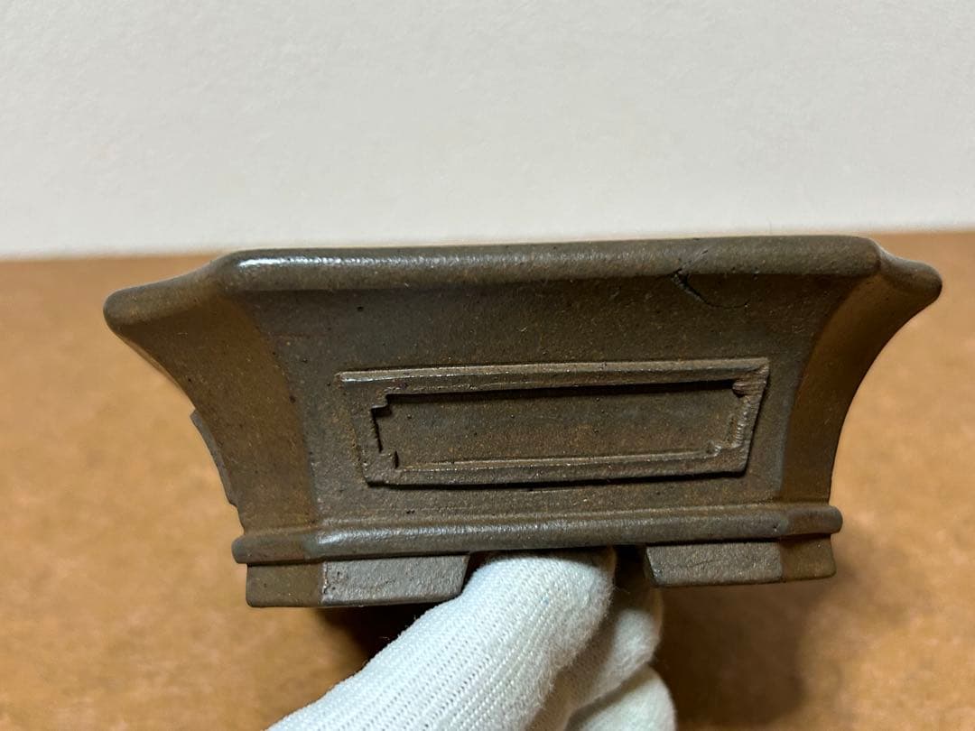 小松泉　秋静庵　小品盆栽　山野草