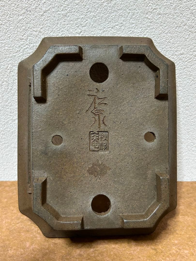 小松泉 秋静庵 小品盆栽 山野草