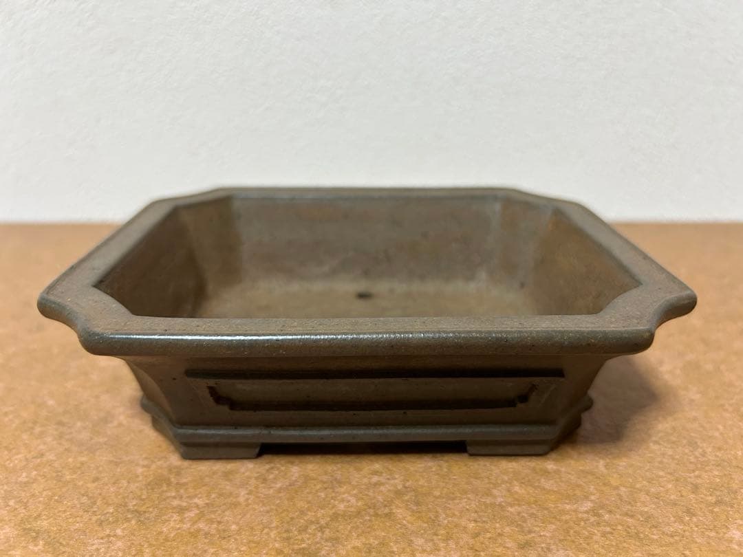 小松泉 秋静庵 小品盆栽 山野草