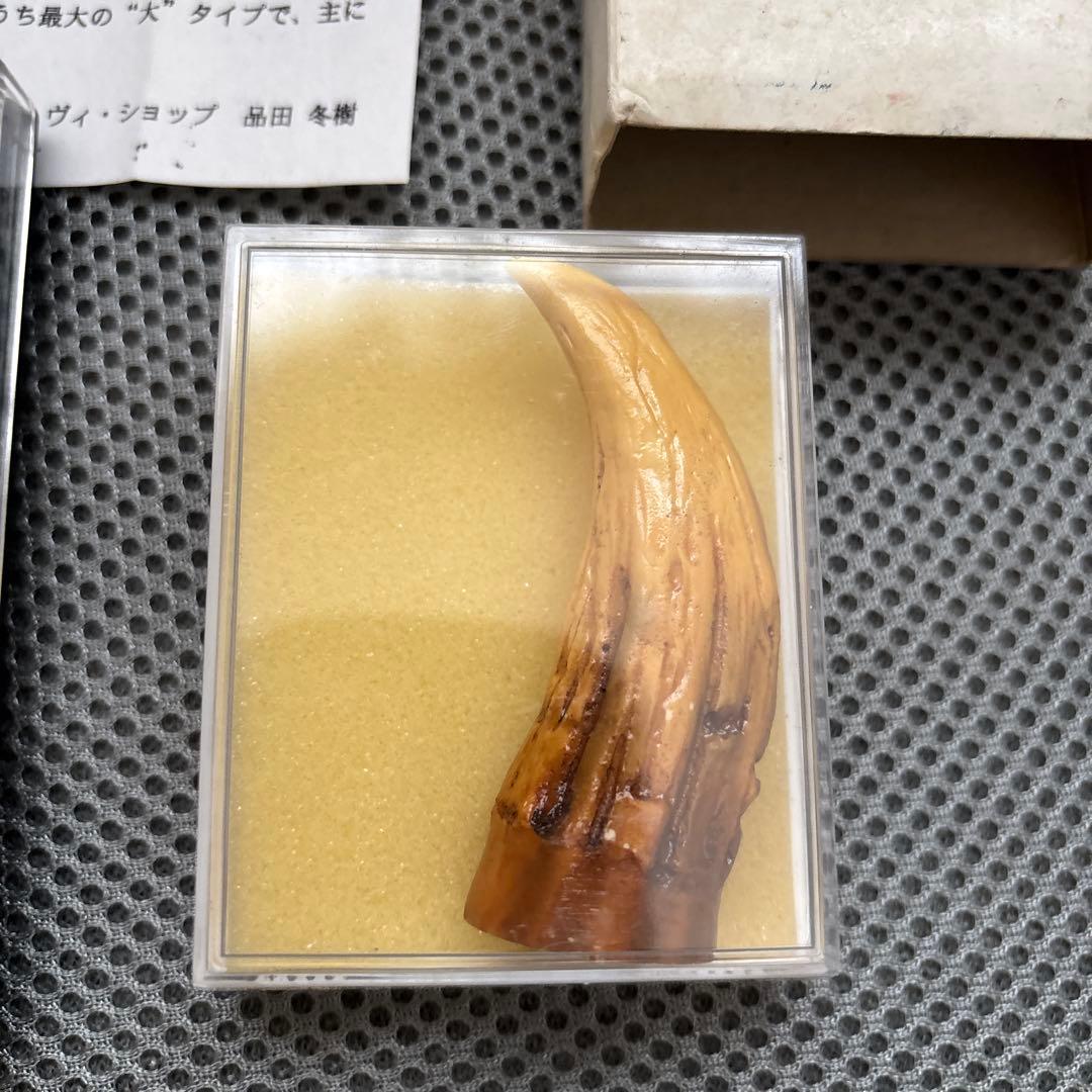 HMV GMKゴジラ 東京SOS DVD 予約特典 レプリカ