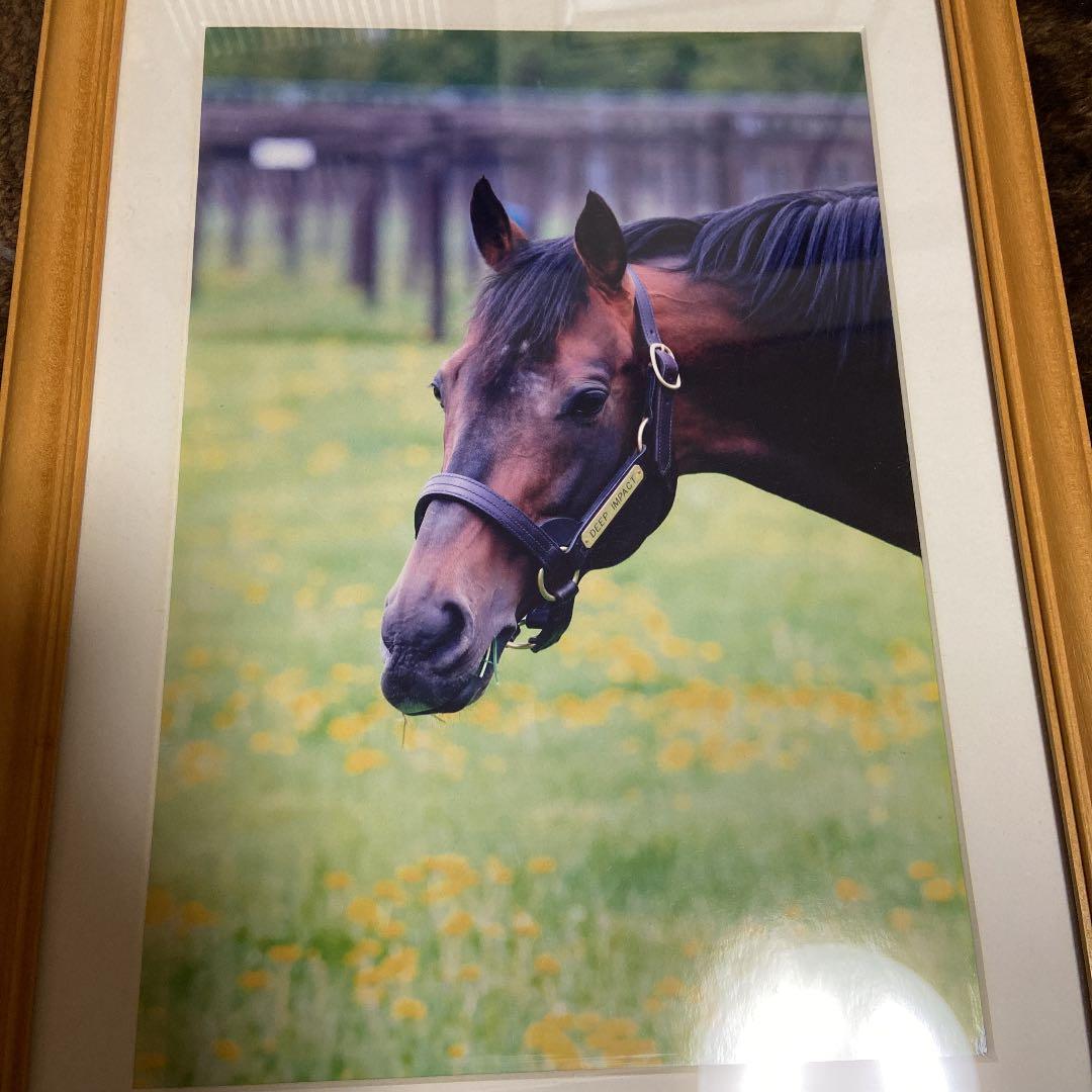 ディープインパクト【生写真】A4サイズ