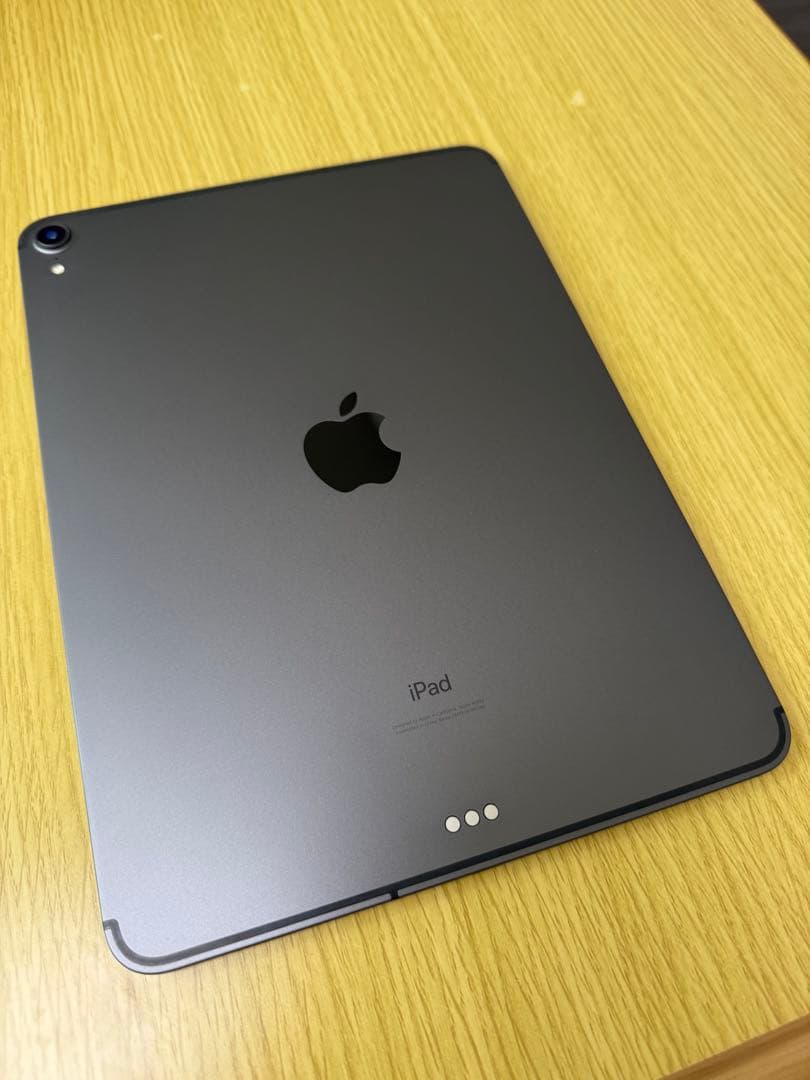 iPad Pro 11インチ (第1世代) セルラー 256GB スペースグレー