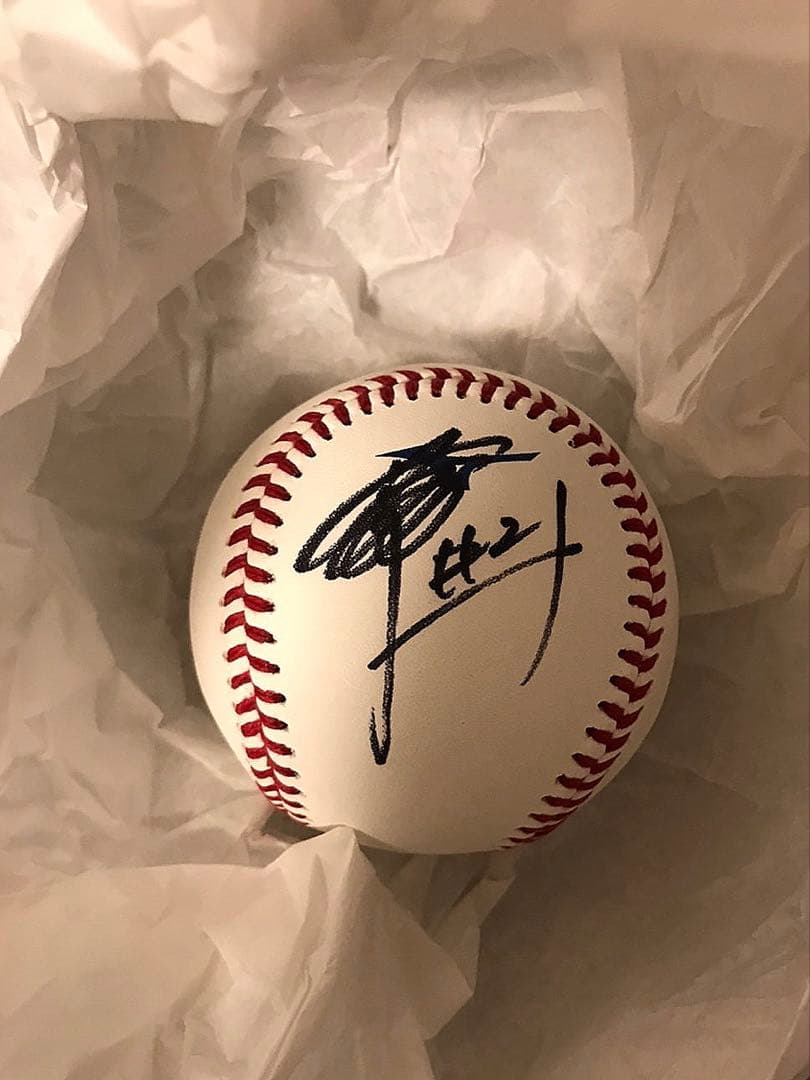 北海道日本ハムファイターズ 清宮幸太郎 直筆サインボール NPB 試合球