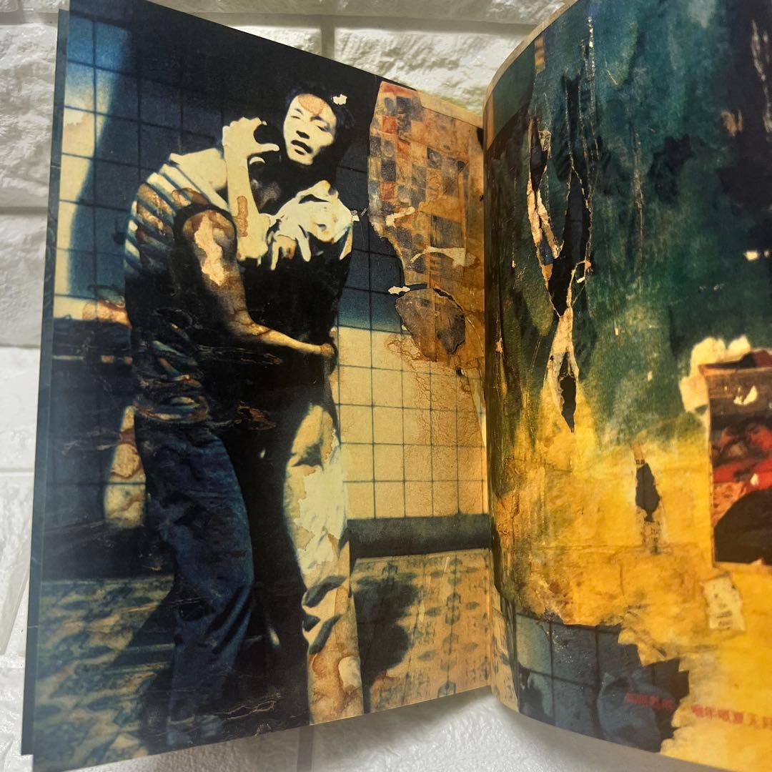 映画 春光乍洩 happy together ブエノスアイレス 限定写真集 - メルカリ