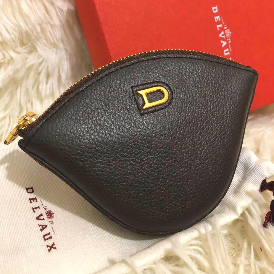 未使用✨デルヴォー レザー　ケース