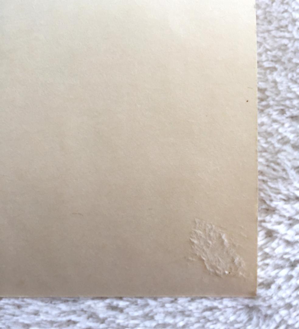 Glenn Barr Fuk Girl シルクスクリーン ポスターサイン入り