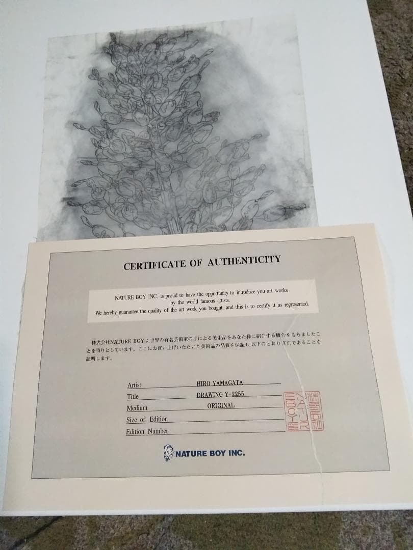 ヒロ・ヤマガタ植物直筆真作鉛筆木炭画ドローイング巨匠証明書あり額