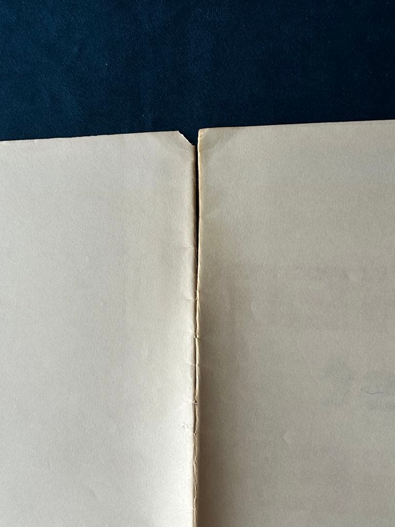 ガン・ブラザーズ　USオリジナル映画ポスター