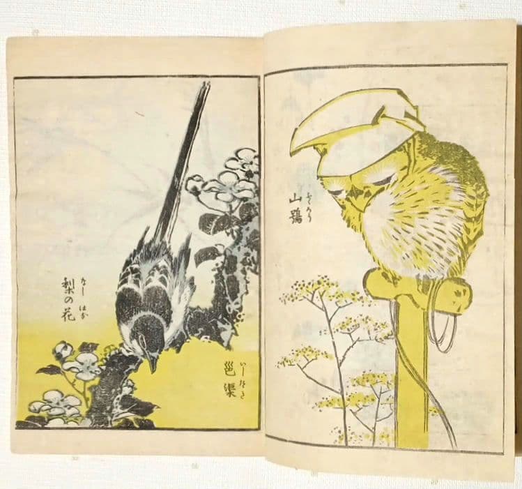 後摺多色刷り版画本傳神開手北斎画宛初編、葛飾北斎画、明治8年片野東