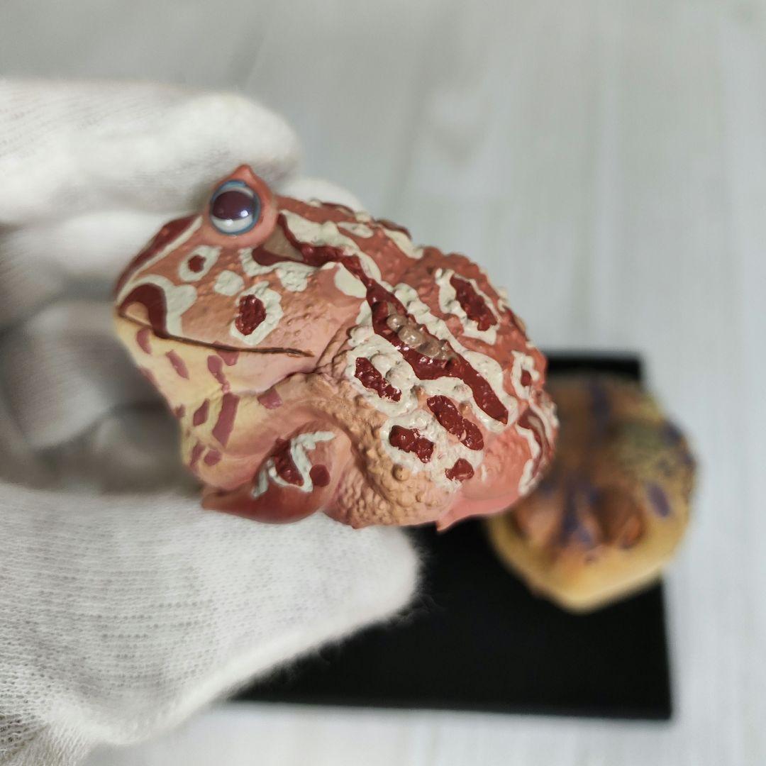 【動物の惑星】スーパーレア!韓国限定リリー&150体限定カエル!! フィギュア