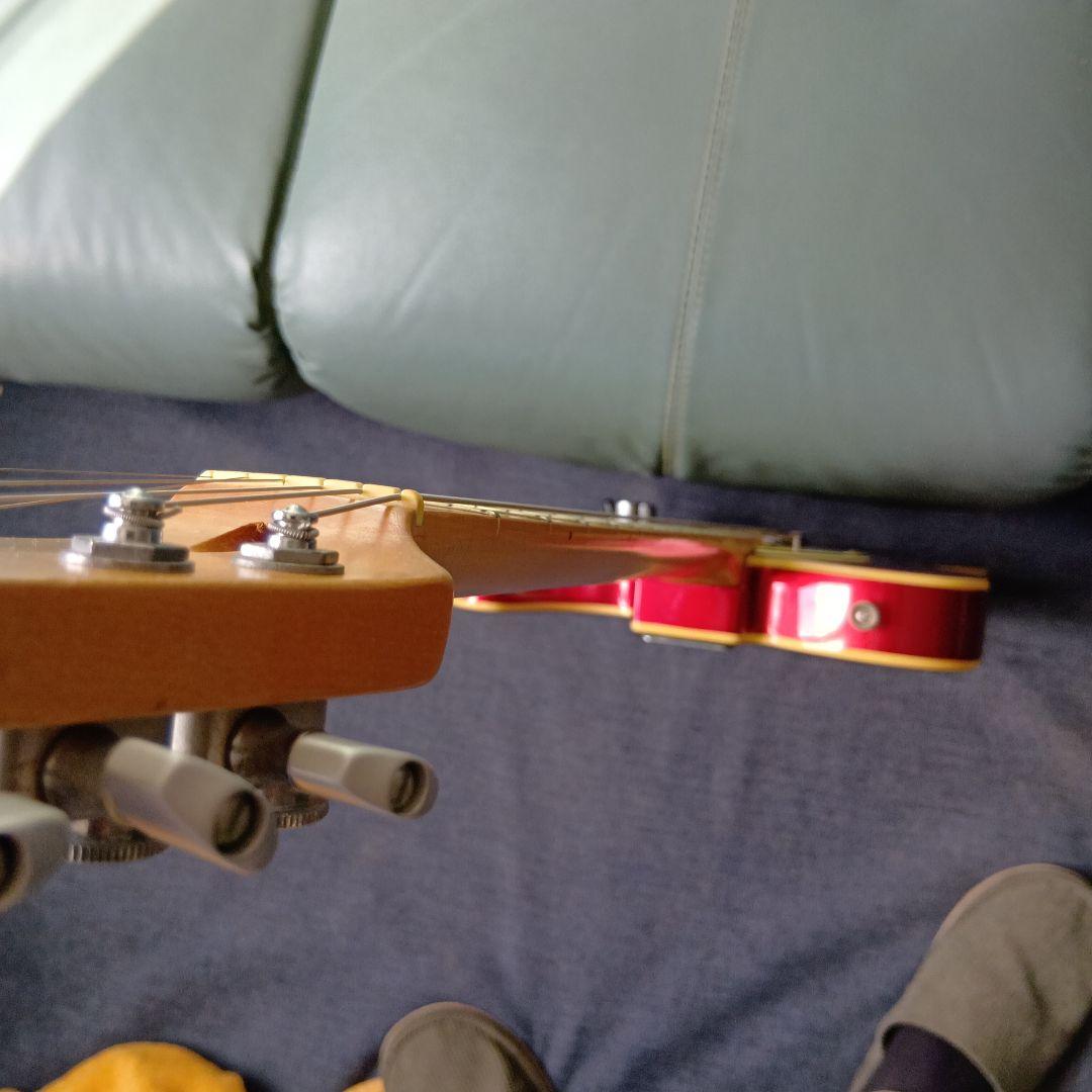 Bacchus カスタムTL ディマジオ /シュパーゼル /ジョー・バーデン