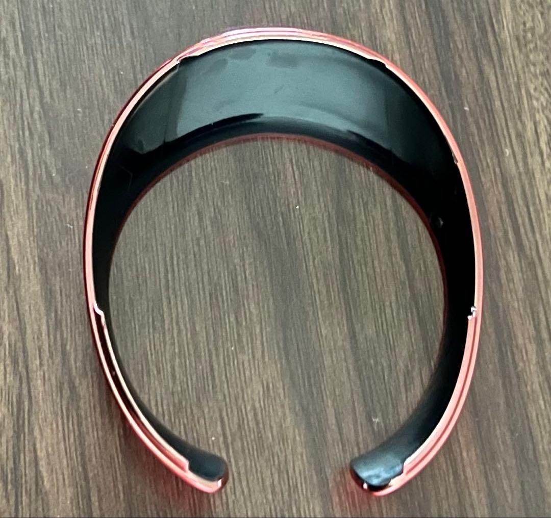 ⭐︎チワワさん専用⭐︎ aiboプレミアムプラン限定 首輪 赤 青