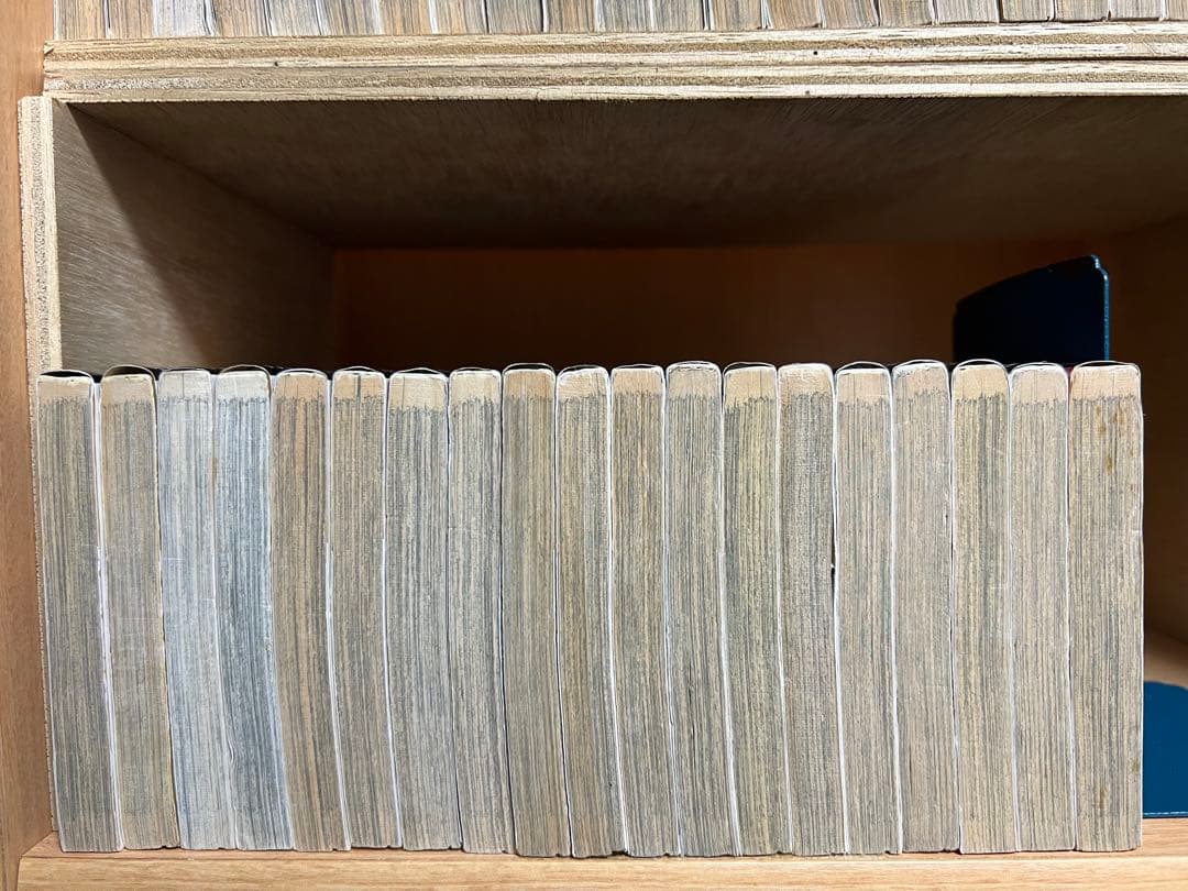 【完結】カメレオン 　全47巻 　まとめセット 　加瀬あつし