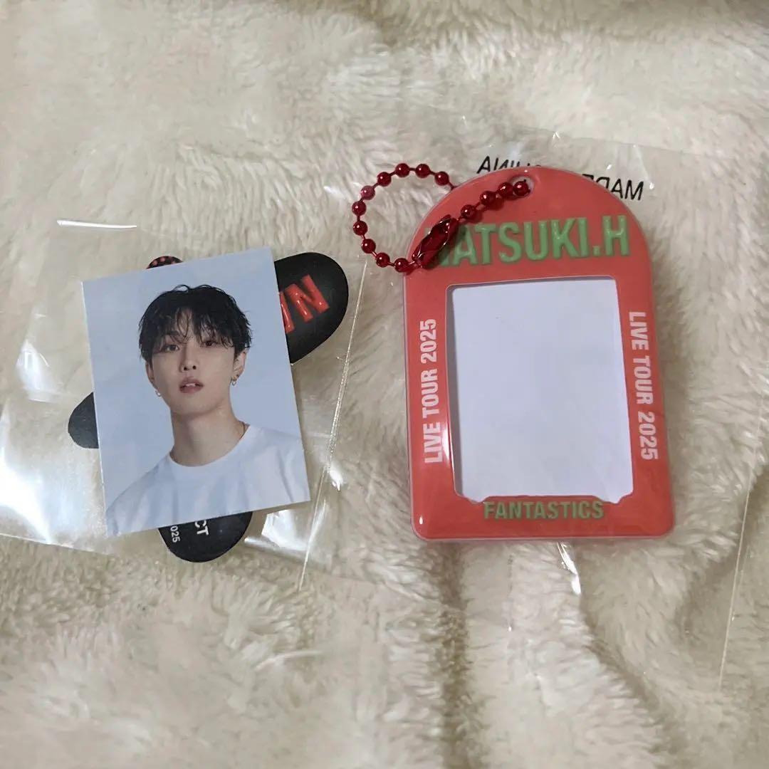 BUTTERFLY EFFECT 堀夏喜 クッション 安い 価格