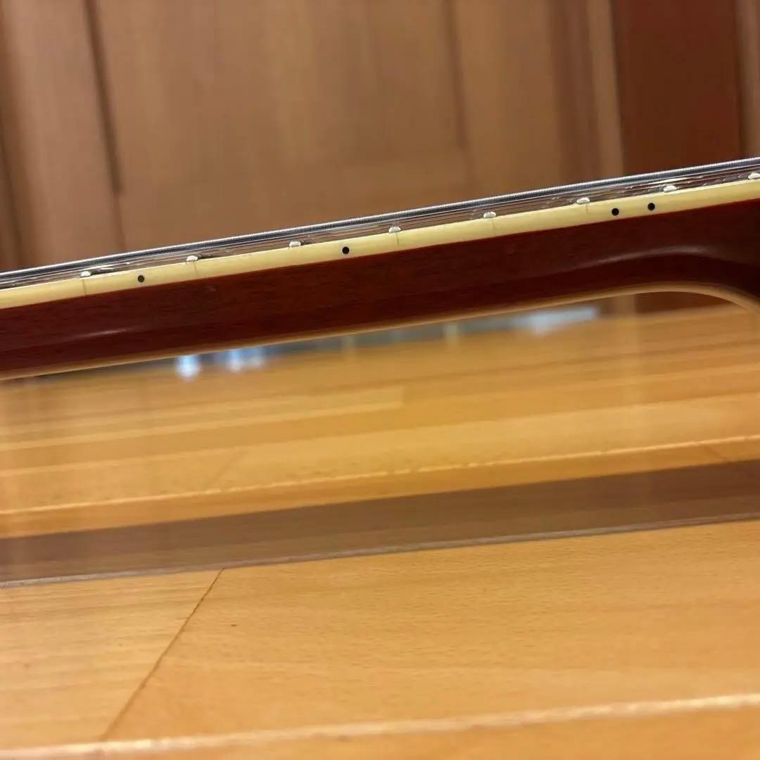 Blitz by Aria pro II Leopard 新品弦張替済