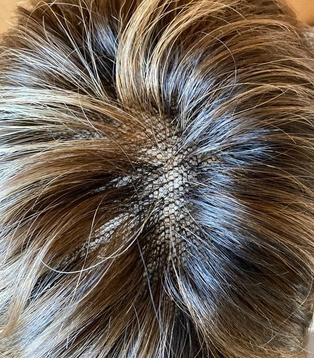 パープルプル　フォンテーヌ　VALAN　人毛MIX　グラデーションショート