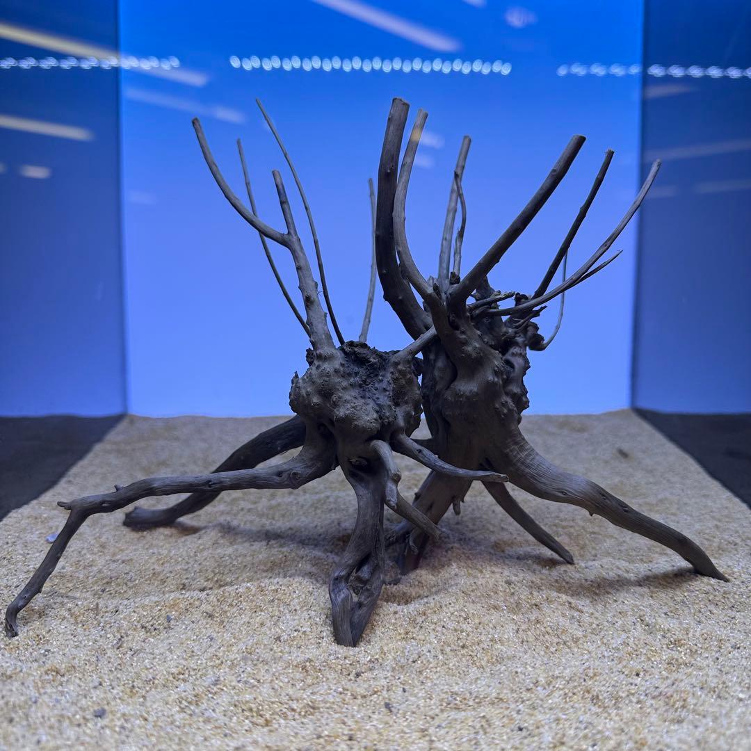 MDW-7278 ブランチウッド(ブラック)2本セット 枝流木 アクアリウム