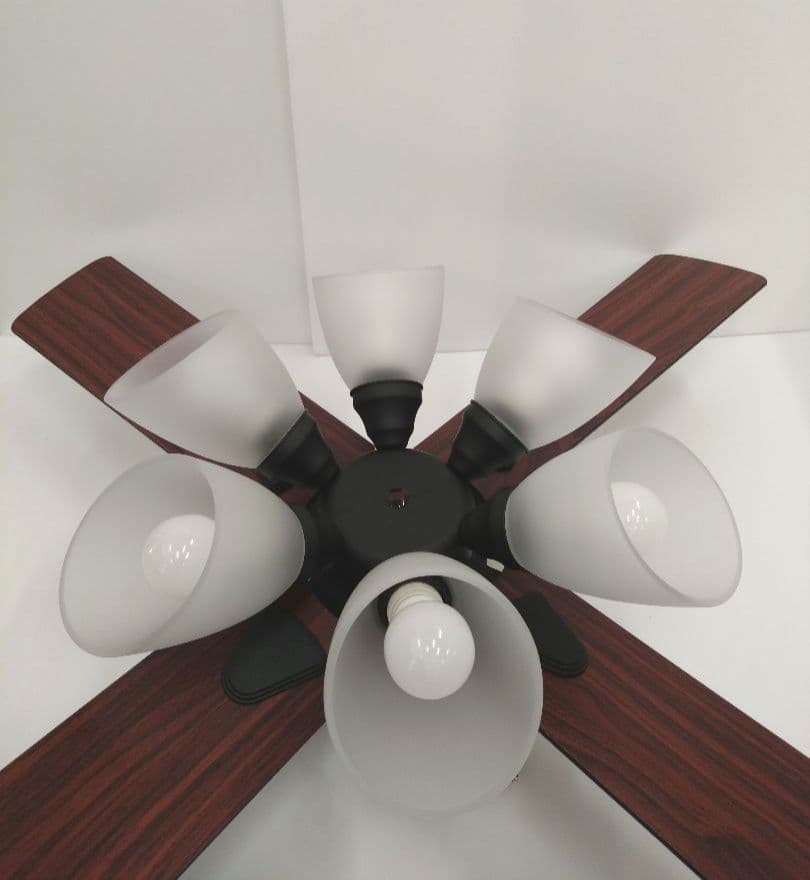 シーリングファン ウィンダブル 6灯 BIG-102 Windouble 阪和