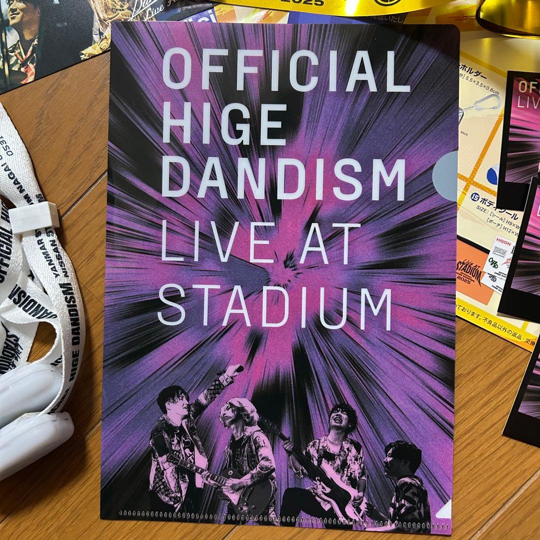 Official髭男dism スタジアムライブメモリアルチケット クリアファイル