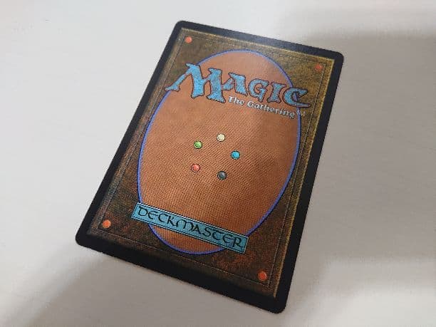 MTG 王家の跡継ぎ 拡張アート版 foil
