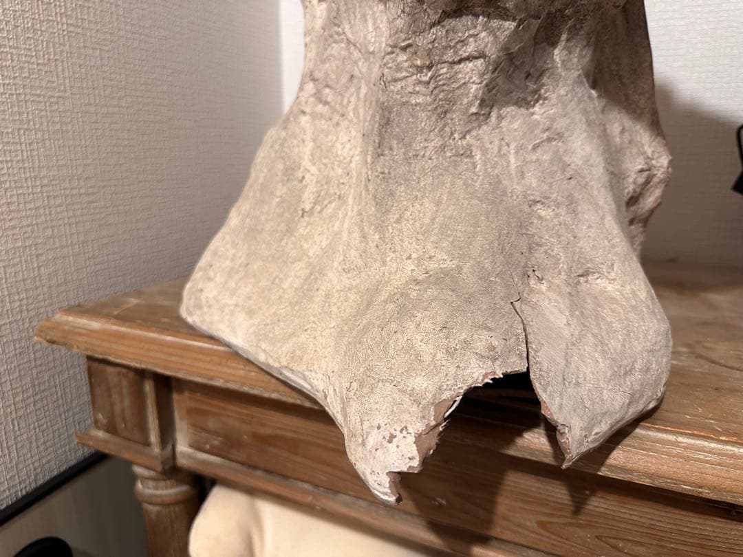 COVENT GARDEN 恐竜の大型骨格オブジェ　約80cm グレー 石膏製？