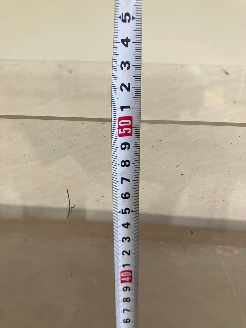 年末年始特化❗️清掃済みアクリル　ケース　大型　水槽