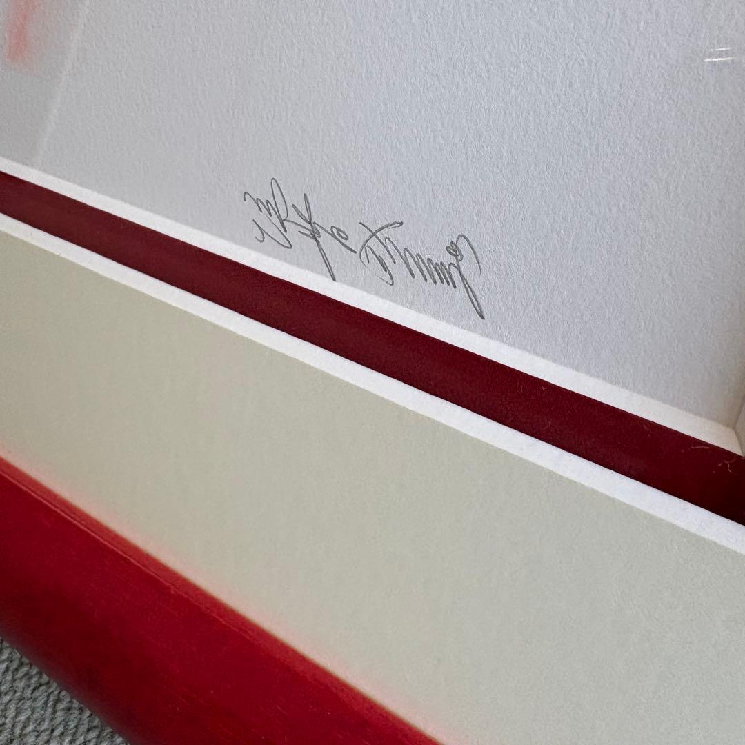 垣野内成美 燐花〜吸血姫美夕〜 リトグラフ 直筆サイン 150部限定 額装