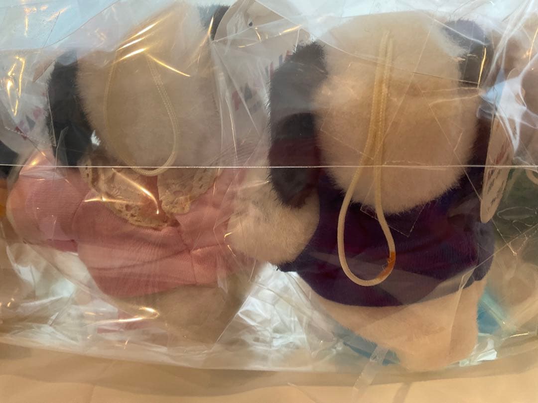 ファミリア　デイジーヒル　パピーズ